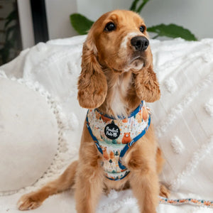 Reversible Dog Harness Wild at Heart