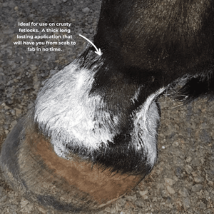 The Hoof Co Zinc Putty for Horses 300g