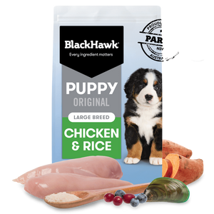 Black Hawk Puppy Large Breed Chicken and Rice Dry Dog Food
