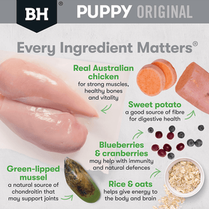 Black Hawk Puppy Large Breed Chicken and Rice Dry Dog Food