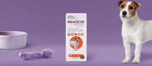 Bravecto 3 Month Chew for Small Dogs 4-10kg Orange