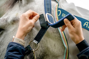 Field Safe Headcollar