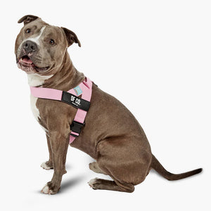 Dog Friendly Co Dog Harness