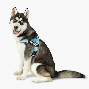 Dog Friendly Co Dog Harness