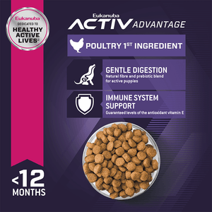 Eukanuba Puppy Medium Breed Dry Dog Food