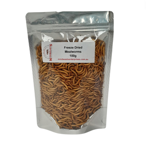 Minibeasts Freeze Dried Mealworms
