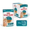 Royal Canin Cat Ageing 11+ Gravy Wet Cat Food