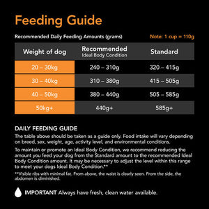 Supercoat Adult Large Breed Dry Dog Food