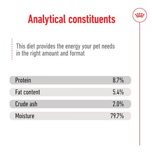 Royal Canin Medium Adult Wet Dog Food