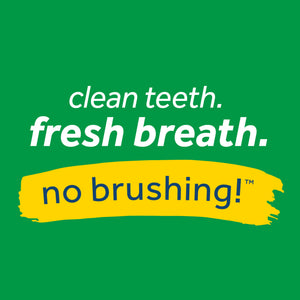 TropiClean Fresh Breath Mint Foam for Dogs