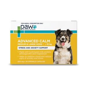 PAW by Blackmores Advanced Calm for Medium and Large Dogs Chews