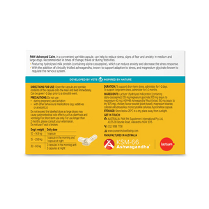 PAW by Blackmores Advanced Calm for Medium and Large Dogs Chews