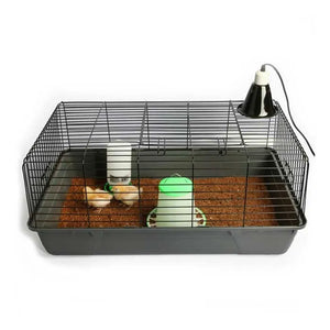 Pet One Your First Chicken Kit