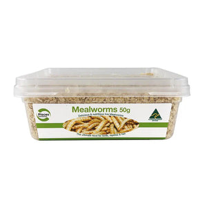 Pisces Live Mealworms Regular