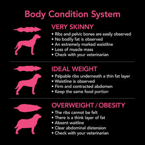 Supercoat Puppy Chicken Dry Dog Food