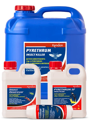 Kendon Pyrethrum