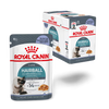 Royal Canin Cat Hairball Care Jelly Wet Cat Food