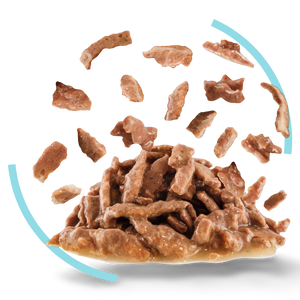 Royal Canin Cat Sensory Feel Gravy Wet Cat Food
