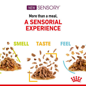 Royal Canin Cat Sensory Feel Gravy Wet Cat Food