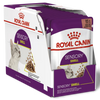 Royal Canin Cat Sensory Smell Gravy Wet Cat Food
