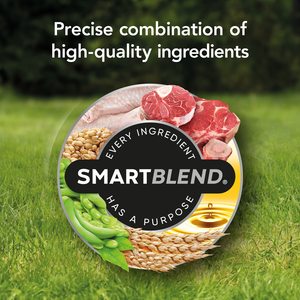 Supercoat Adult Beef Dry Dog Food