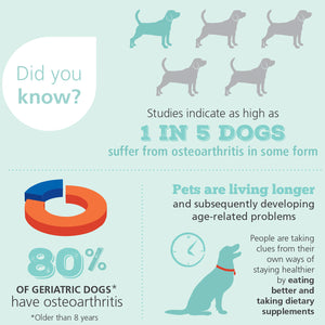 4CYTE Canine Joint Support Supplement