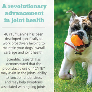 4CYTE Canine Joint Support Supplement