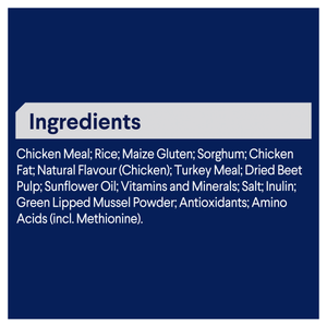 Advance Dog Adult Active Chicken with Rice Dry Dog Food