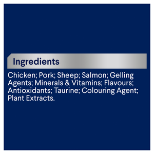 Advance Adult Chicken and Salmon Trays Wet Cat Food