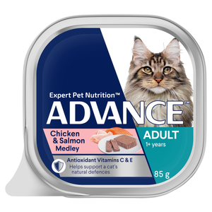 Advance Adult Chicken and Salmon Trays Wet Cat Food