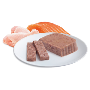 Advance Adult Chicken and Salmon Trays Wet Cat Food