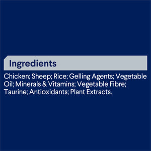 Advance Dog Adult All Breed Healthy Weight Chicken with Rice Wet Dog Food 405g