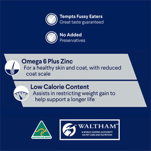 Advance Dog Adult All Breed Healthy Weight Chicken with Rice Wet Dog Food 700g