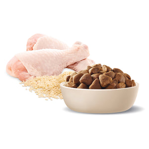 Advance Dog Adult Large Breed Chicken with Rice Dry Dog Food