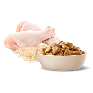 Advance Dog Adult Large Breed Healthy Weight Chicken with Rice Dry Dog Food
