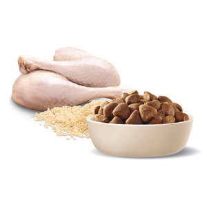 Advance Dog Adult Large Breed Turkey with Rice Dry Dog Food