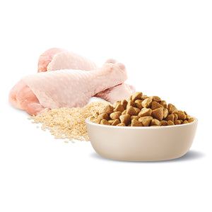 Advance Dog Adult Medium Breed Healthy Weight Chicken with Rice Dry Dog Food