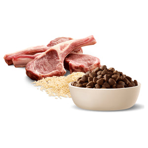 Advance Dog Adult Medium Breed Lamb with Rice Dry Dog Food