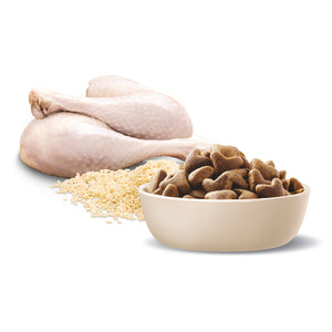 Advance Dog Adult Shepherd Turkey with Rice Dry Dog Food