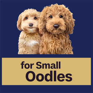 Advance Dog Adult Small Oodles Salmon with Rice Dry Dog Food