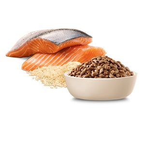 Advance Dog Adult Small Oodles Salmon with Rice Dry Dog Food