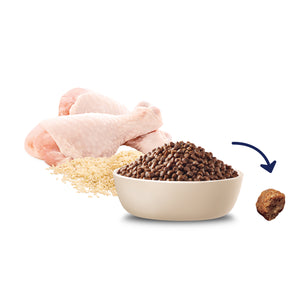 Advance Dog Puppy Small Breed Rehydratable Chicken with Rice Dry Dog Food