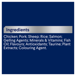 Advance Kitten Chicken And Salmon Trays Wet Cat Food