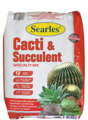 Searles Cacti and Succulent Specialty Mix