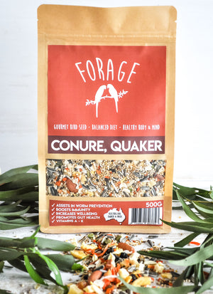 Forage Gourmet Conure and Quaker Blend