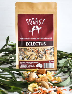 Forage Gourmet Eclectus Blend