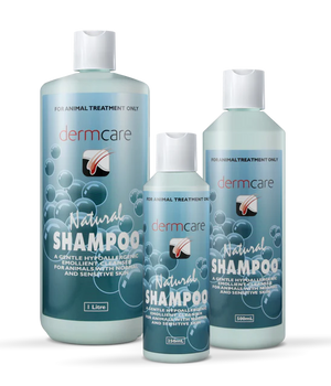 Dermcare Natural Shampoo