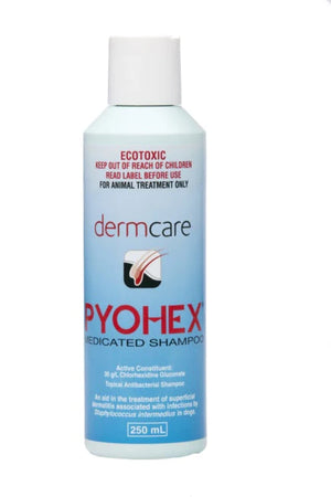 Dermcare Pyohex Medicated Shampoo