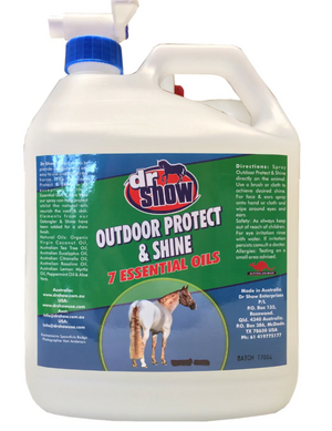 Dr Show Outdoor Protect and Shine Spray