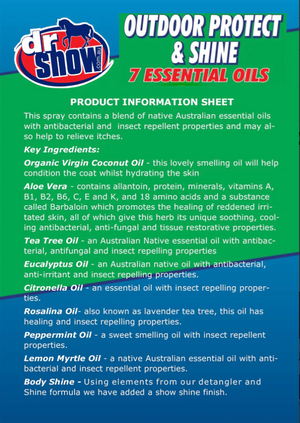 Dr Show Outdoor Protect and Shine Spray